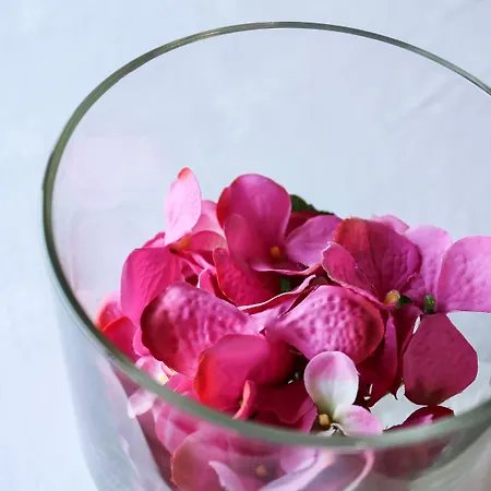 מלון De ואלנסה