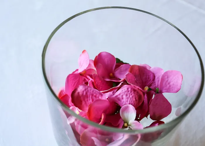 ホテル ポサダ デ ヴァレンサ